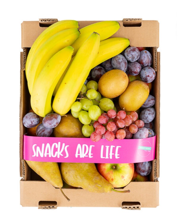 Obst Steigerl Büro
